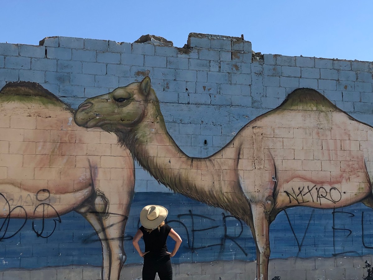 Revision in the&nbsp;Desert