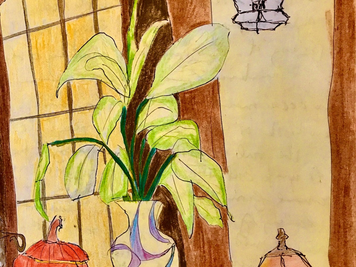 I am home. with the plant, giving&nbsp;thanks.