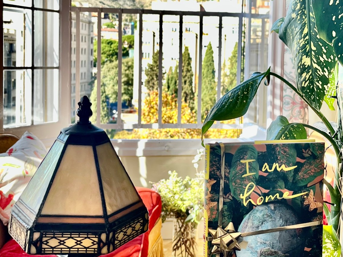 What is the book about in 63&nbsp;words?